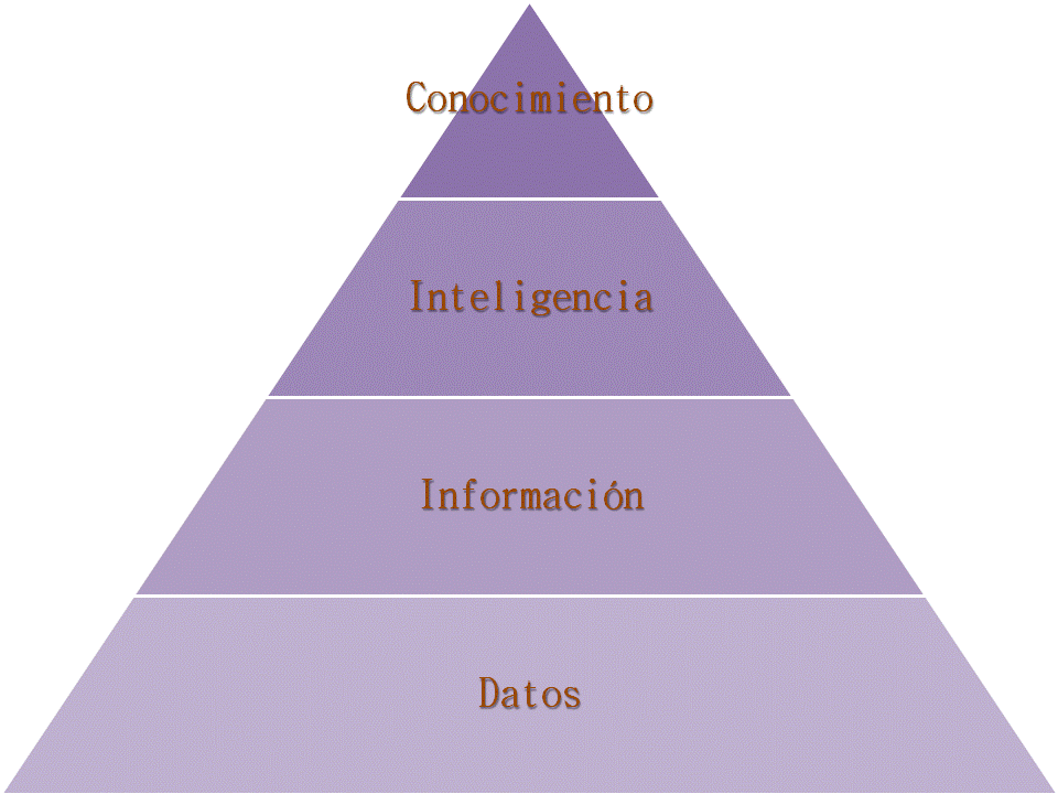Dato, Información y otros conceptos